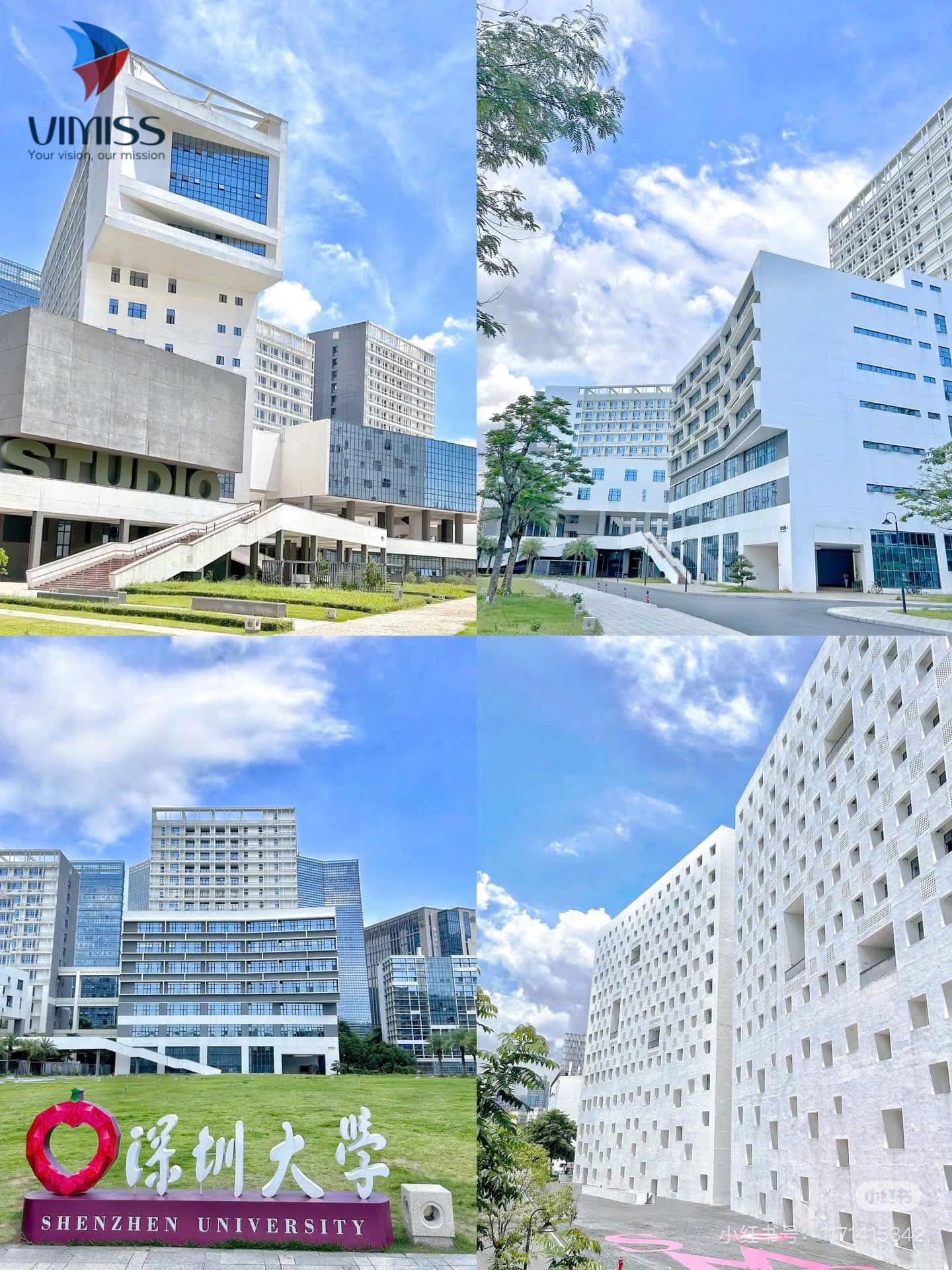 Giới thiệu về Vào Bóng 88 viva Thâm Quyến